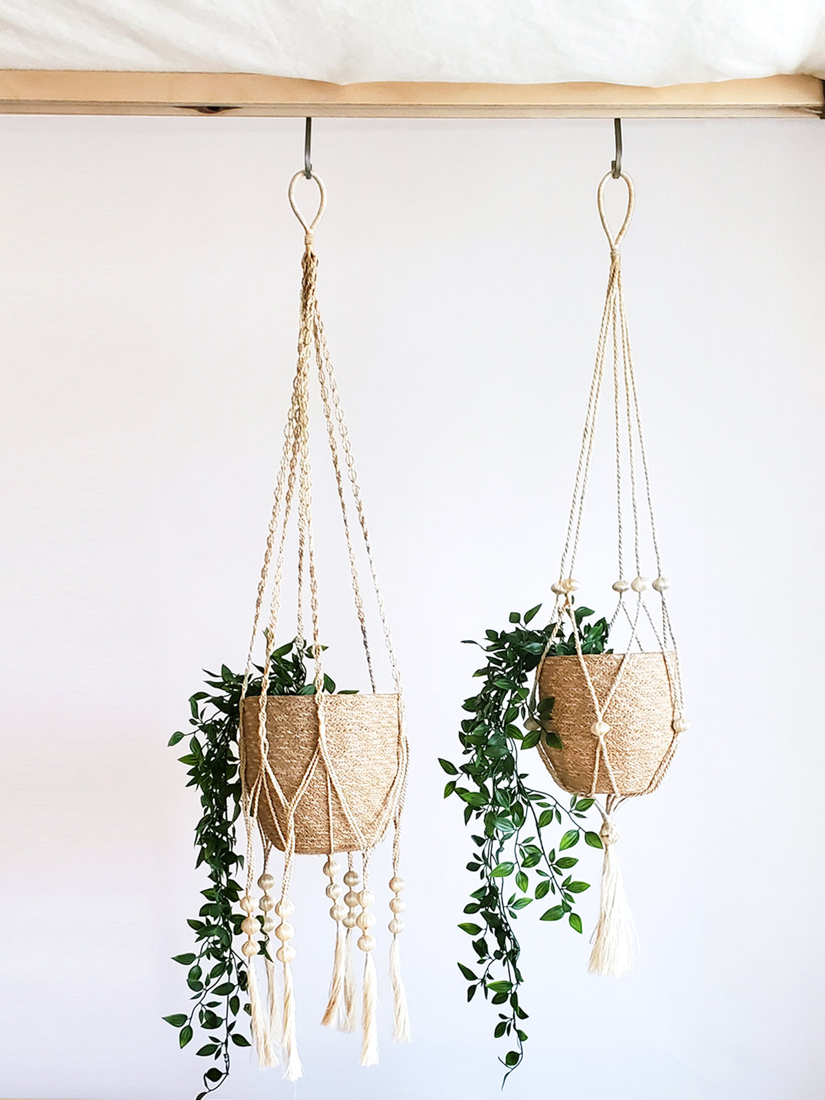 Plant Hanger - Fiora - BagLunchproduct,corp