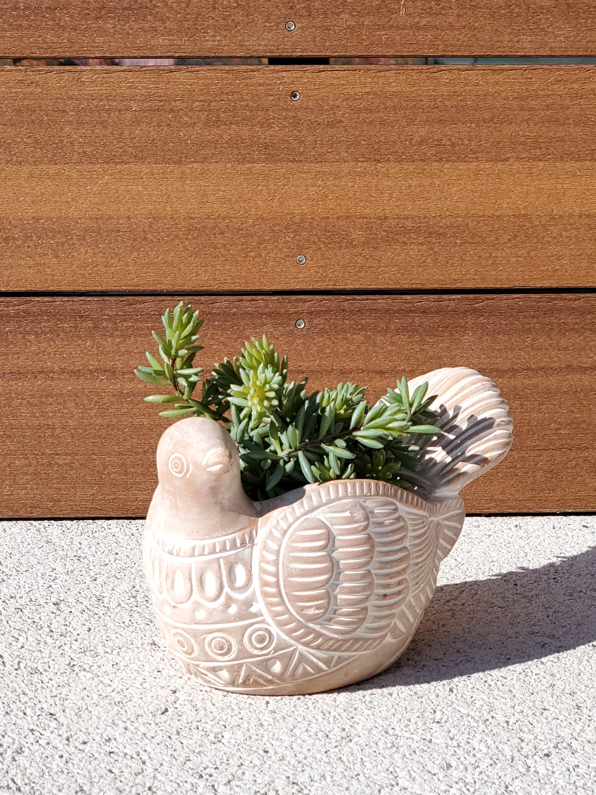 Terracotta Pot - Turtle Dove - BagLunchproduct,corp