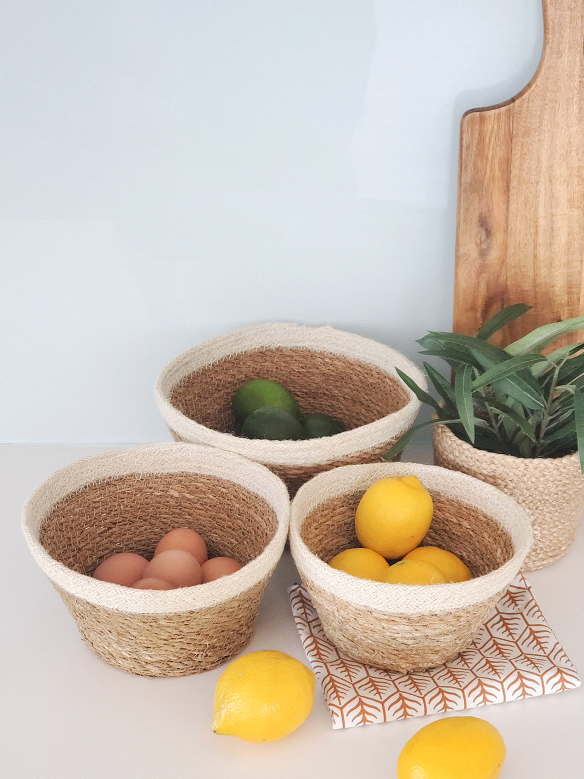 Savar Plant Bowl (Set of 3) - BagLunchproduct,corp