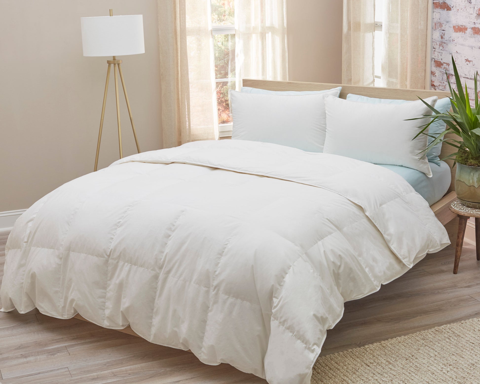 White Down Comforter - BagLunchproduct,corp